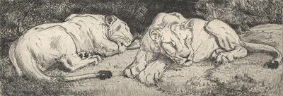 TWO SLEEPING LIONS